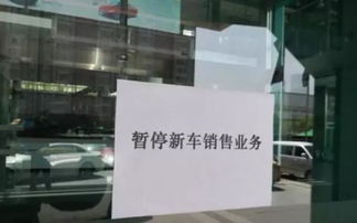 奢侈巨头争相捐款、大片票房一飞冲天，看世界如何解释40亿元的甜蜜与现实